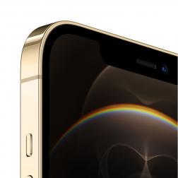Apple iPhone 12 Pro Max 512Gb Gold (Золото)